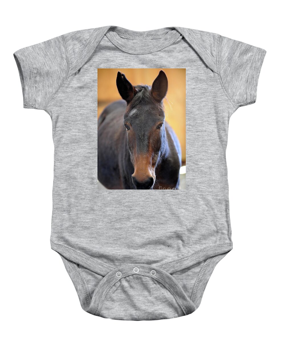 Rosemary Farm Baby Onesie featuring the photograph Alice the Mule by Carien Schippers