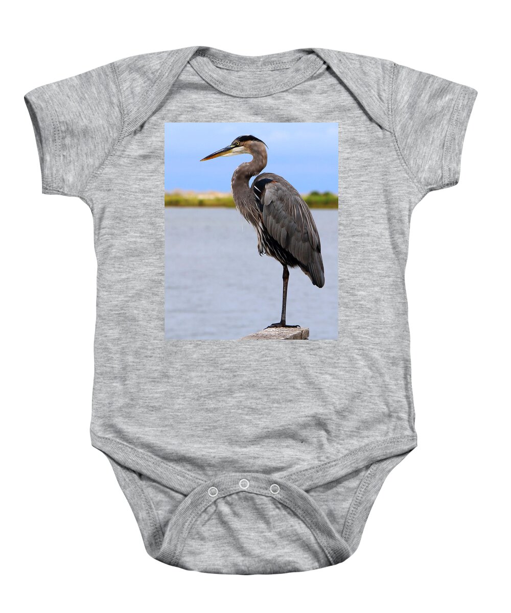 Liza Baby Onesie featuring the photograph Royal Blue Heron by Larry Beat