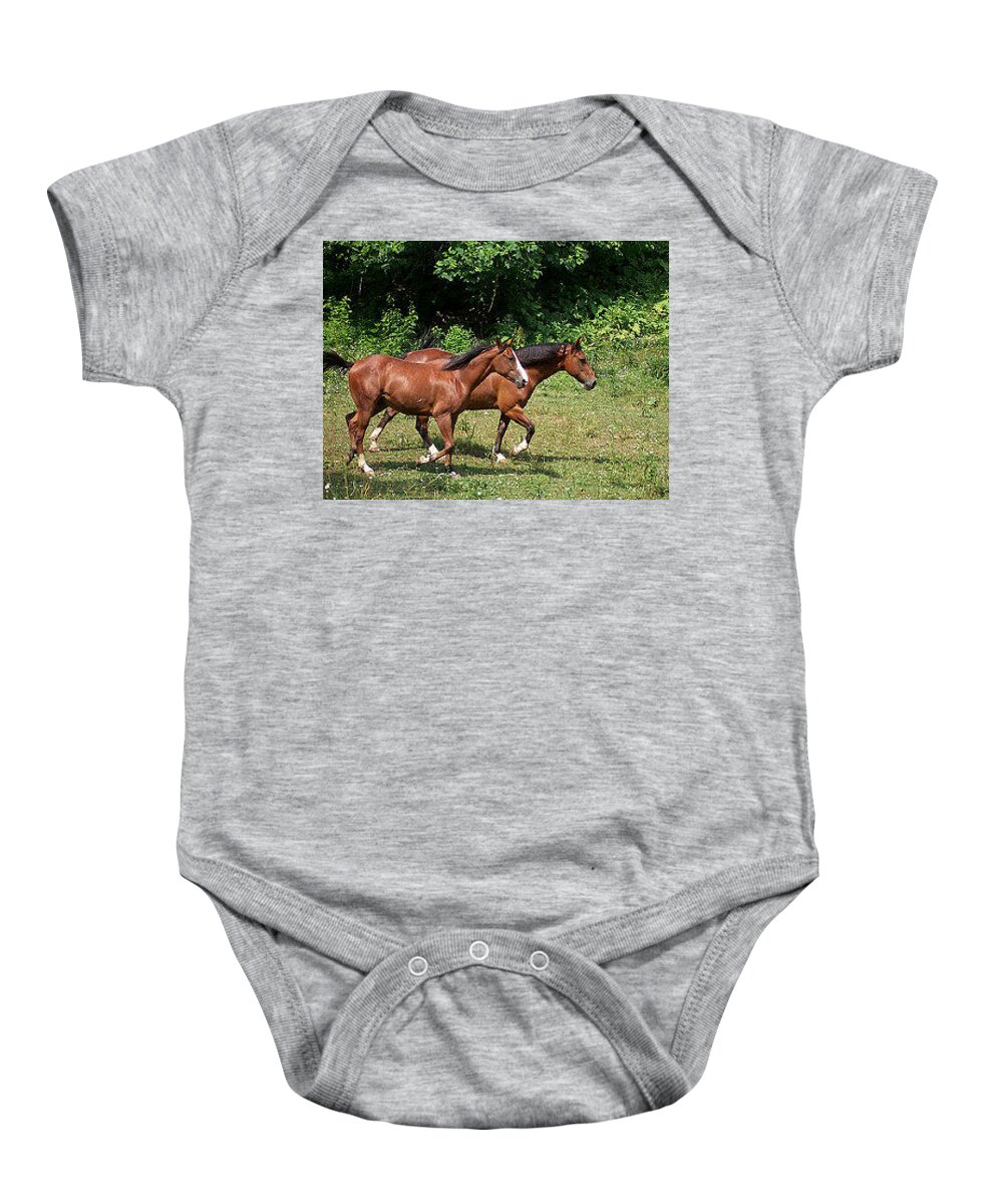 Horses Baby Onesie featuring the photograph Running the Field by De McClung