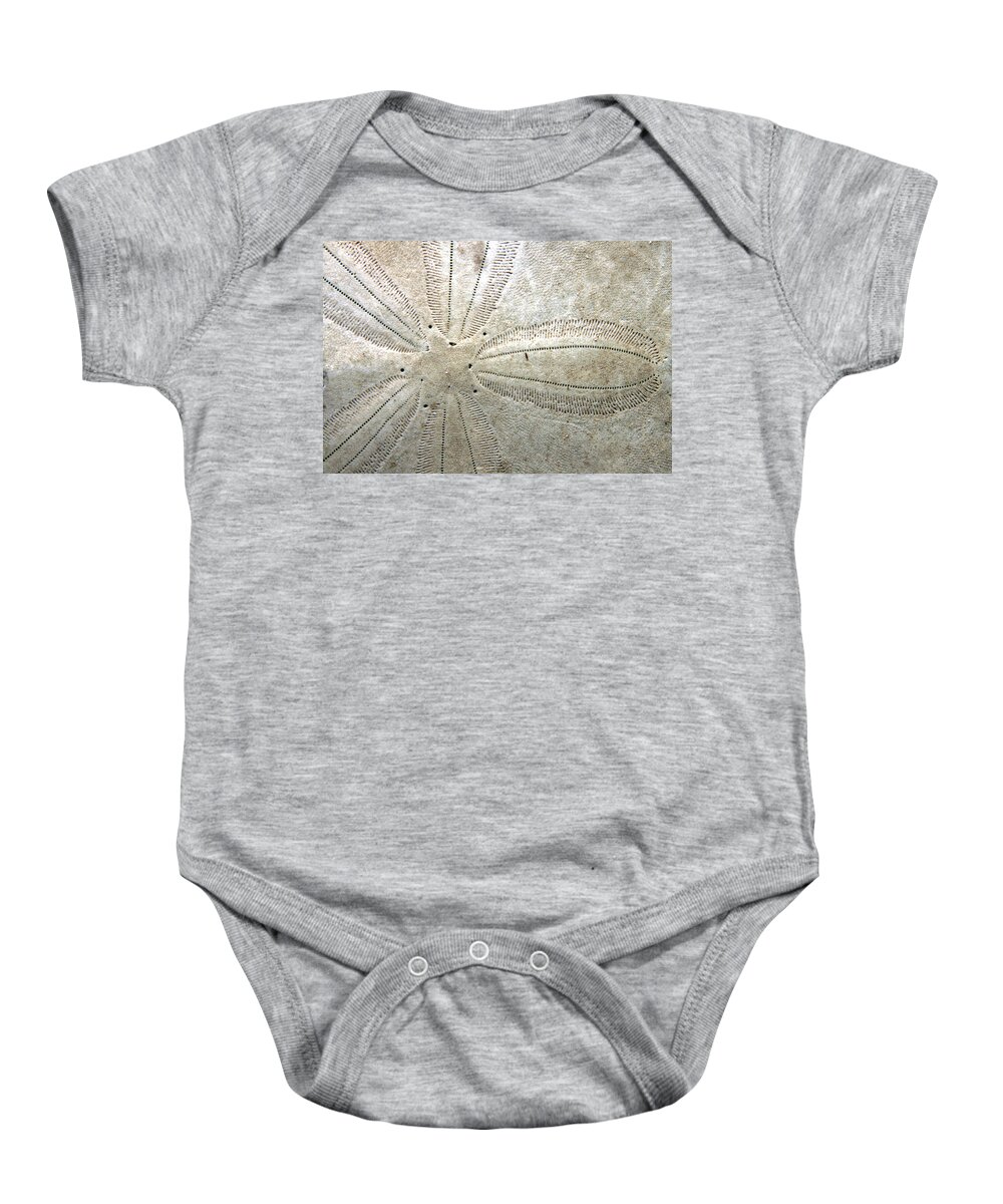 Ocean Baby Onesie featuring the photograph Sand Dollar by Ira Marcus