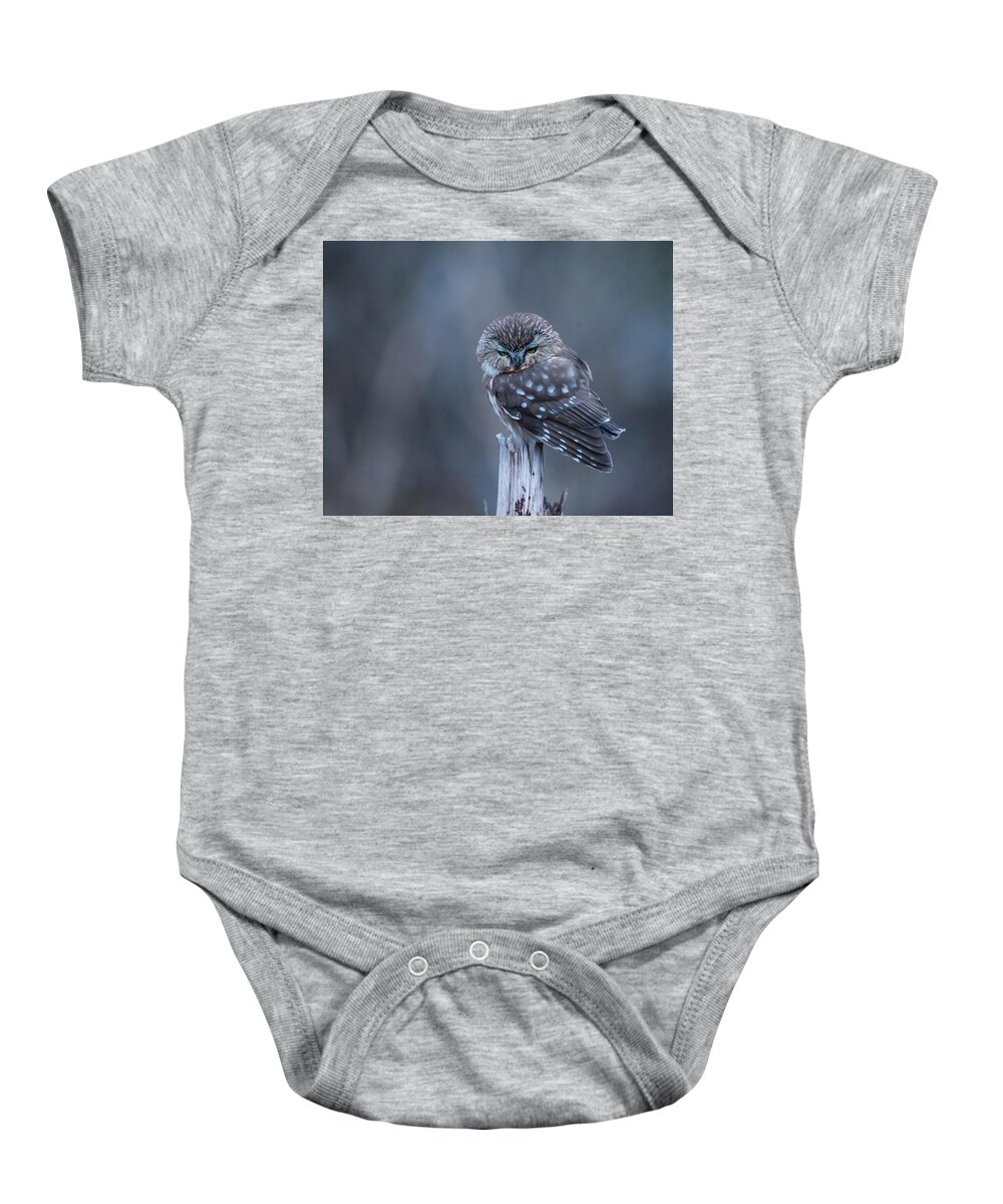 Northern Saw-whet Owl Baby Onesie featuring the photograph Saw-whet Owl by Ian Johnson