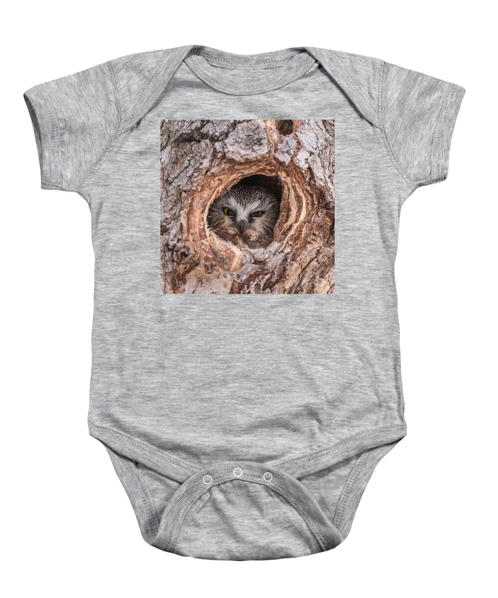Adult Saw-whet Baby Onesie featuring the photograph Saw-Whet Secret by Yeates Photography