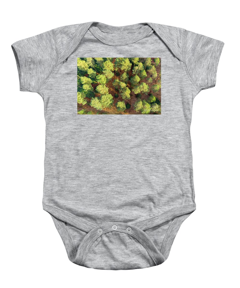 Scots Pines Baby Onesie featuring the photograph Scots Pines by Andy Myatt