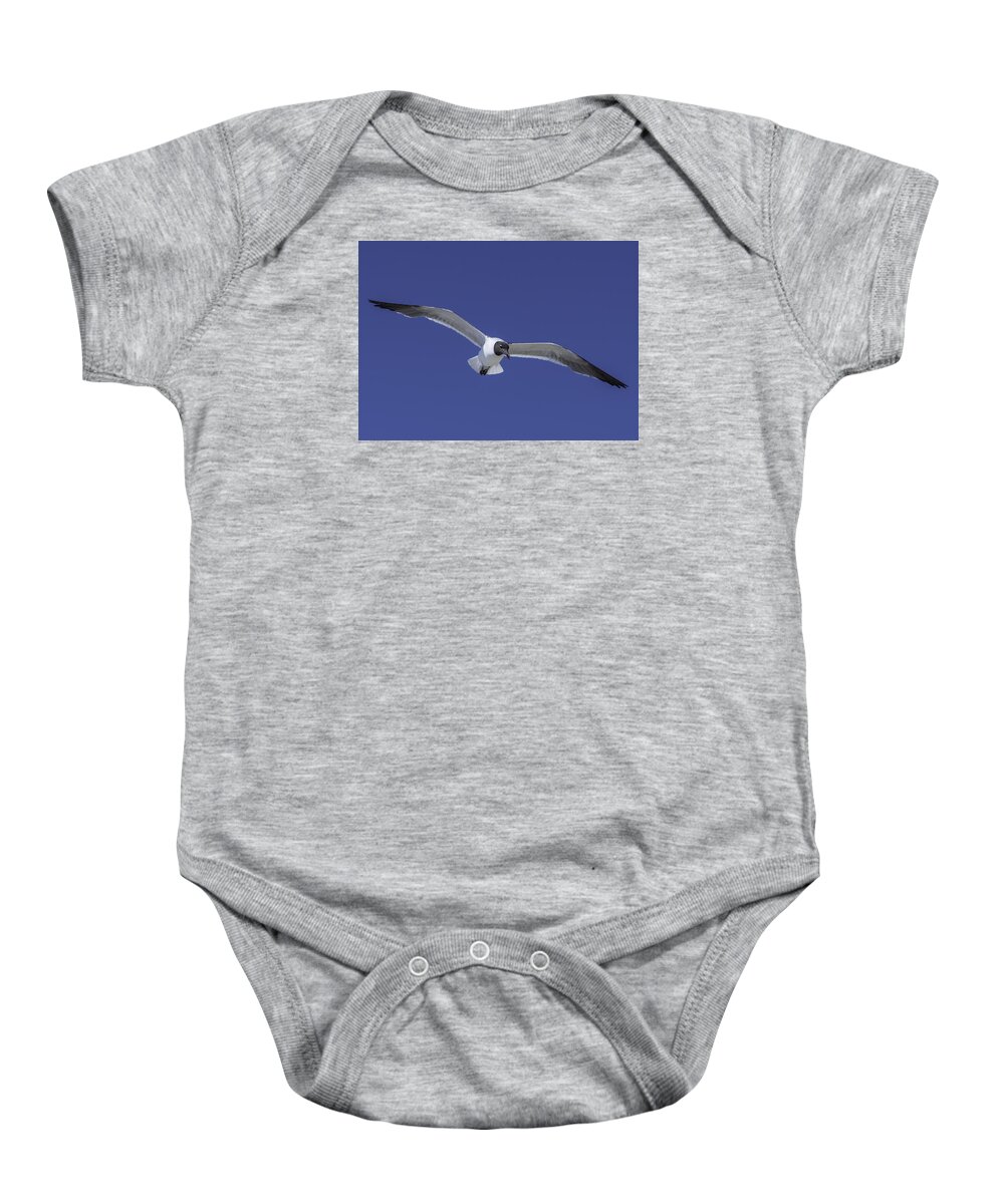 Original Baby Onesie featuring the photograph Sea Gull on the wing by WAZgriffin Digital