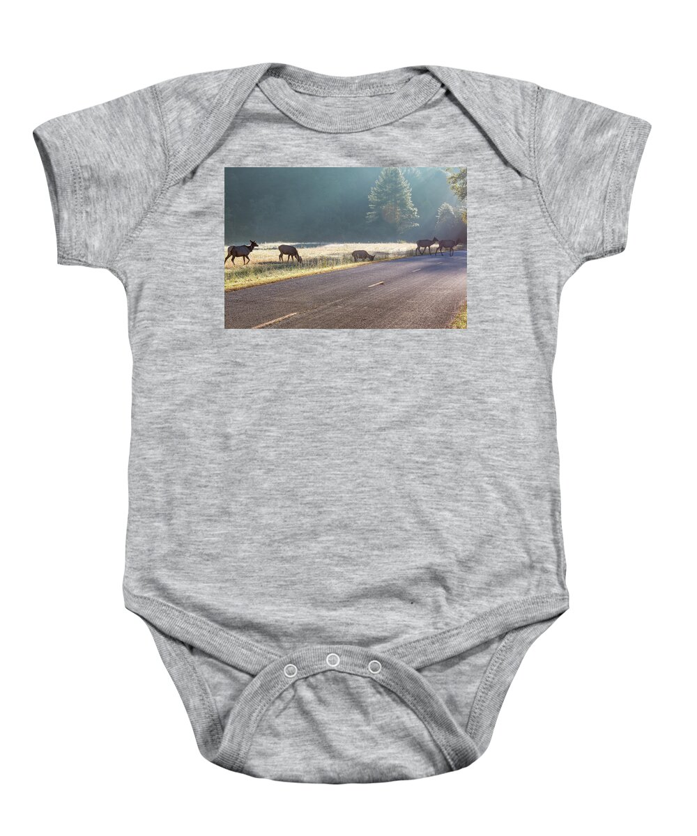 Elk Baby Onesie featuring the photograph Searching For Greener Grass by D K Wall