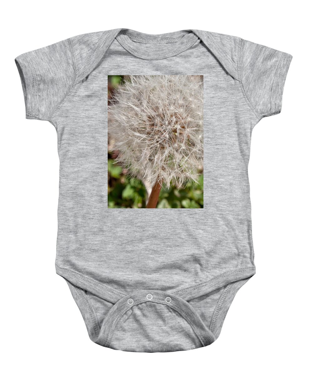Flower Baby Onesie featuring the photograph Seedlings by Hannah Appleton