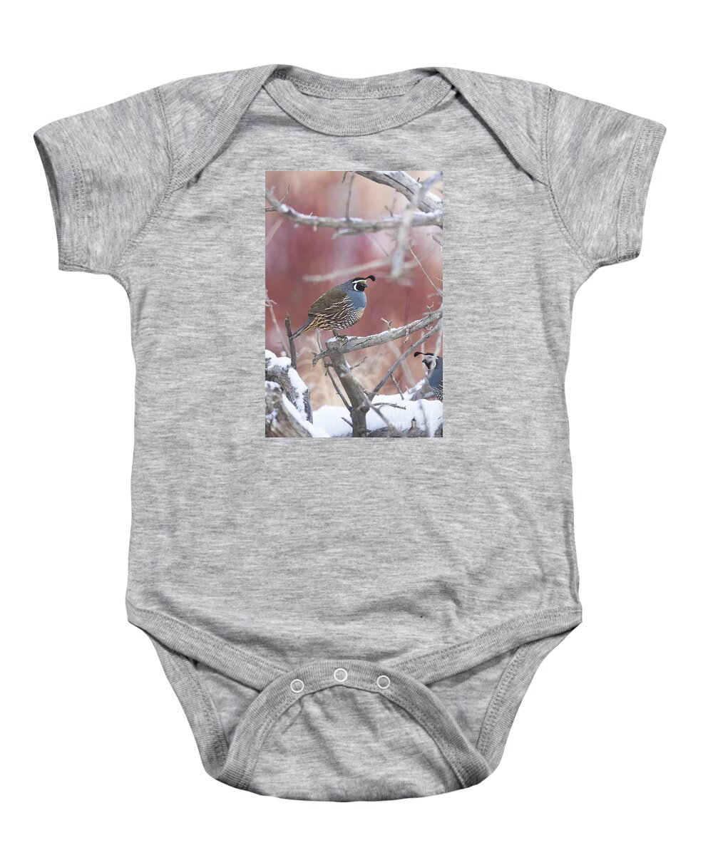 Quail Baby Onesie featuring the photograph Sentry by Douglas Kikendall