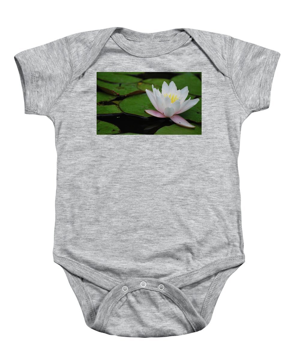 Water Lily Baby Onesie featuring the photograph Shining Bright by Amee Cave