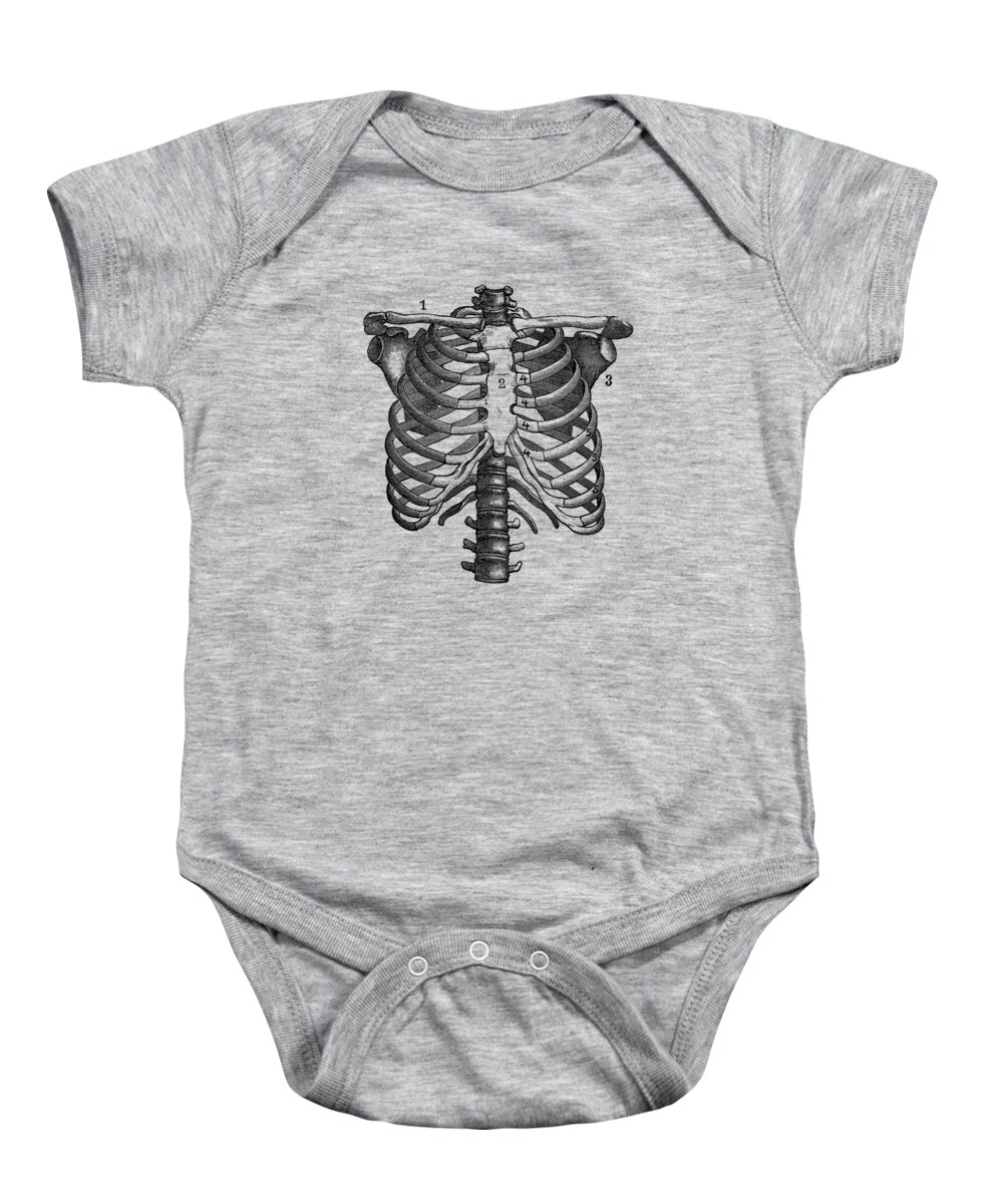 Rib Cage Baby Onesie featuring the drawing Shoulder and Rib Cage Diagram - Vintage Anatomy Poster by Vintage Anatomy Prints