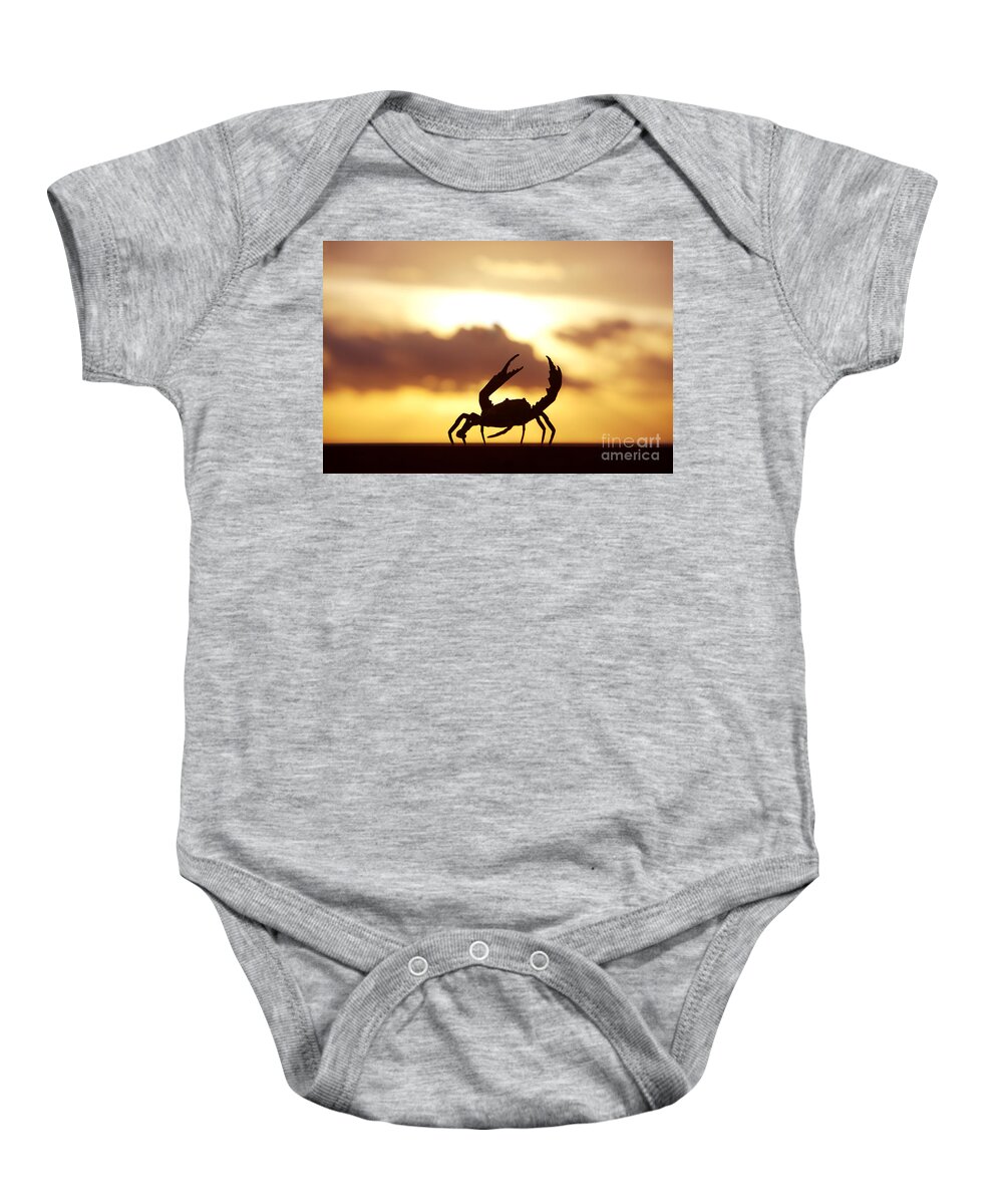 Animal Art Baby Onesie featuring the photograph Silhouetted Crab by Larry Dale Gordon - Printscapes