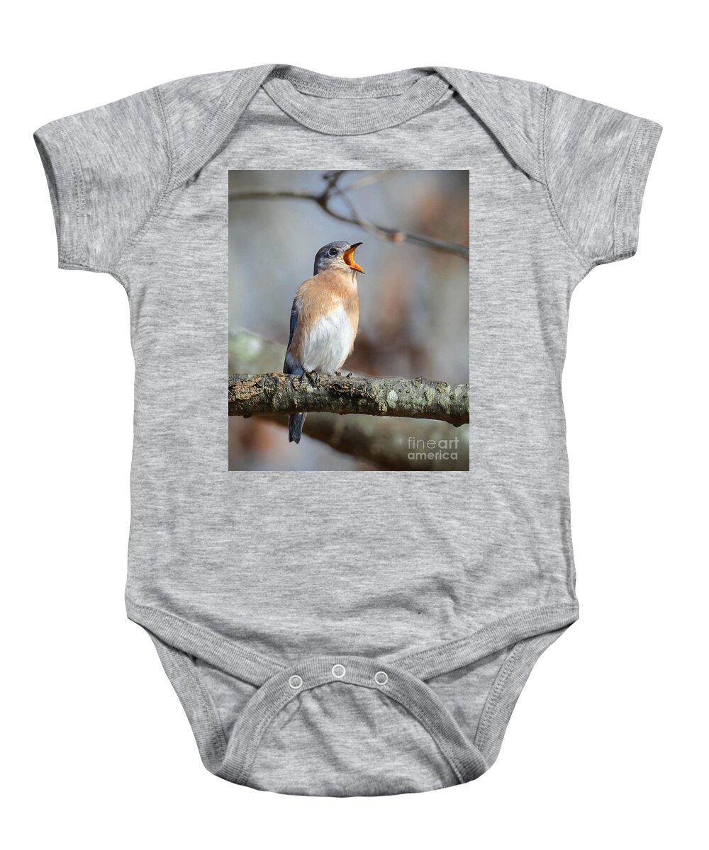 Bluebird Baby Onesie featuring the photograph Singing This Song For You by Amy Porter