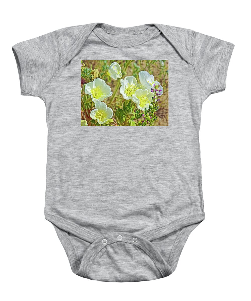 Six Dune Evening Primrose In Anza-borrego State Park Baby Onesie featuring the photograph Six Dune Evening Primrose inAnza-Borrego State Park-California by Ruth Hager