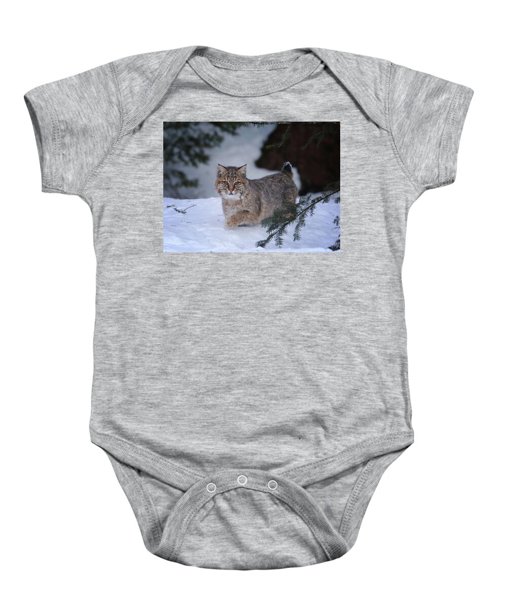 Bobcat Baby Onesie featuring the photograph Sneaking In by Duane Cross