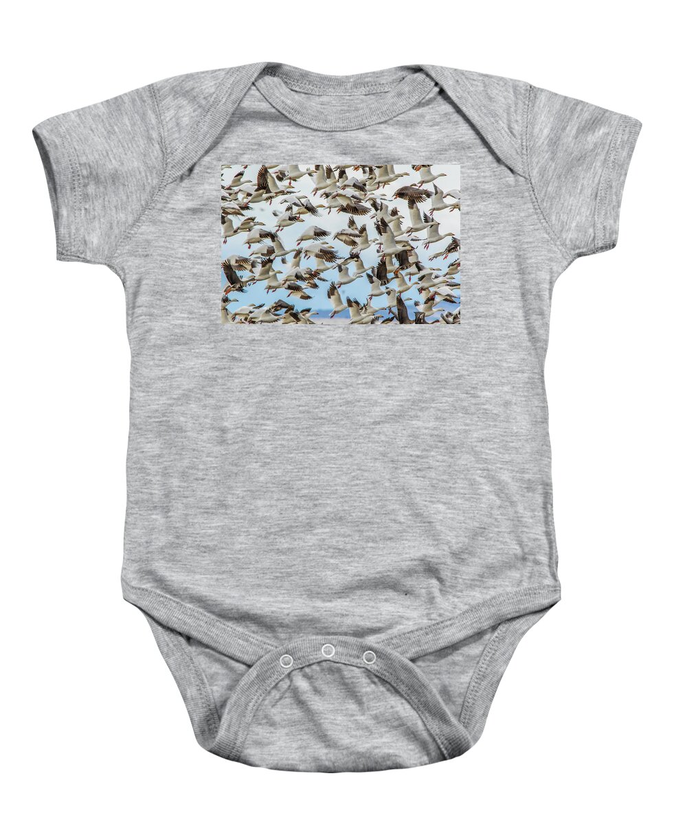California Baby Onesie featuring the photograph Snow Geese Take Off by Marc Crumpler