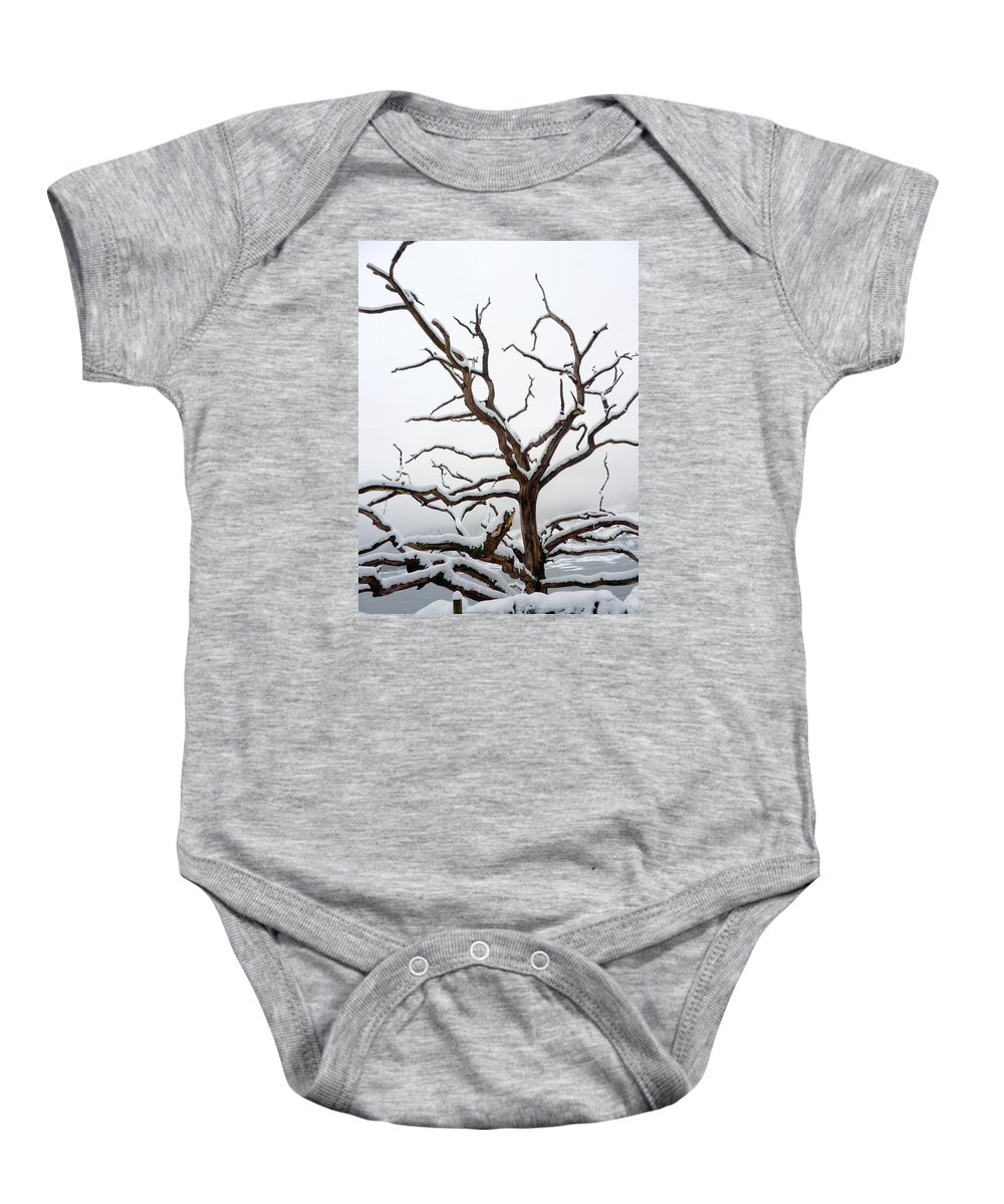 Snow Baby Onesie featuring the photograph Snowed tree by Lukasz Ryszka