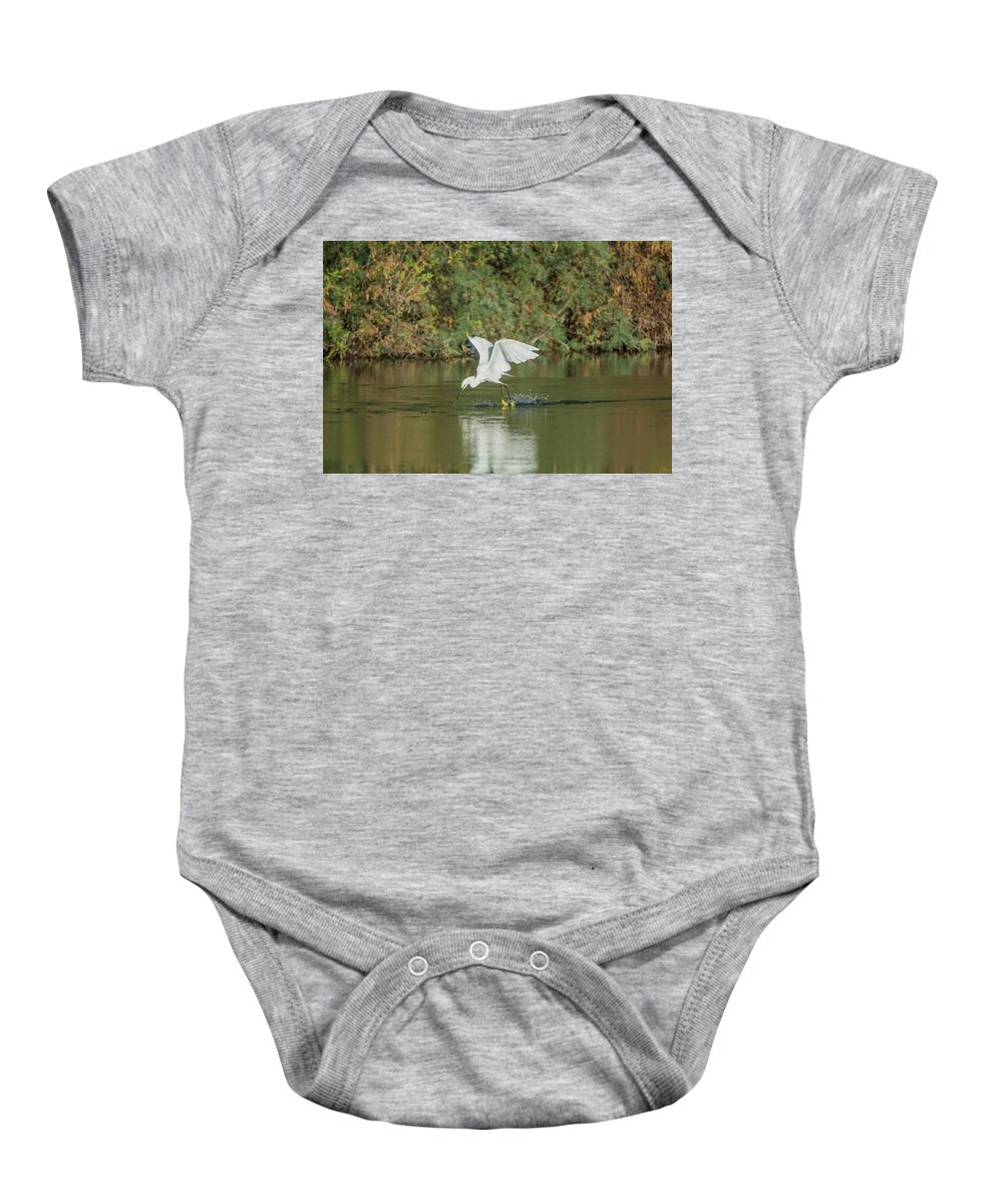 Snowy Baby Onesie featuring the photograph Snowy Egret 4830-091917-1 by Tam Ryan