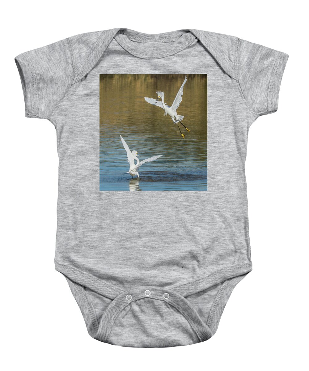 Snowy Baby Onesie featuring the photograph Snowy Egrets Dispute 3612-112317-1cr by Tam Ryan