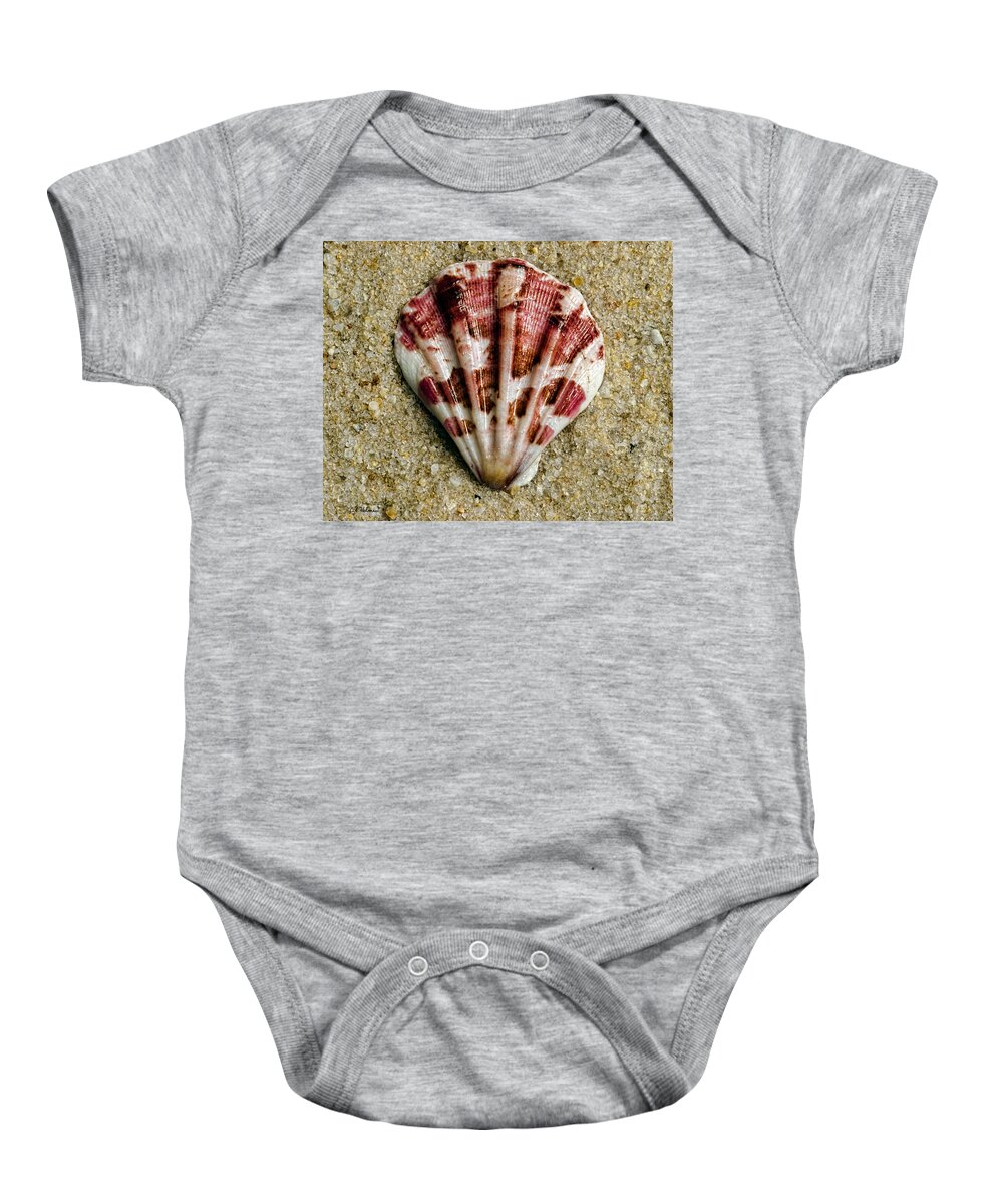 Shell Baby Onesie featuring the photograph Splash Of Magenta by Christopher Holmes