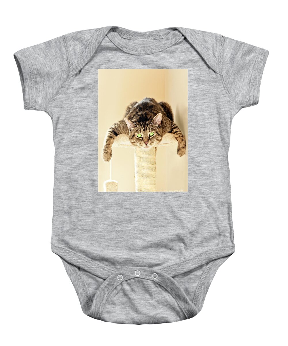 Gizmo Baby Onesie featuring the photograph Splat Cat by Terri Waters