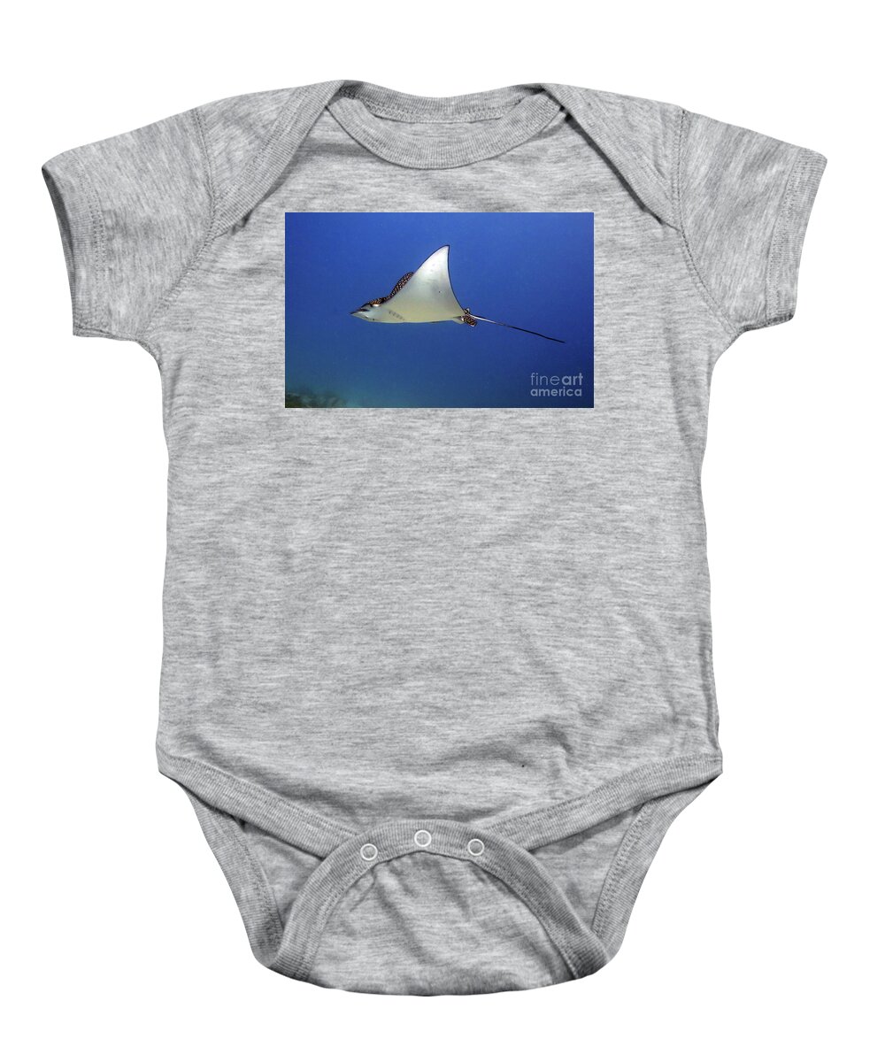 Underwater Baby Onesie featuring the photograph Spotted Eagle Ray by Daryl Duda