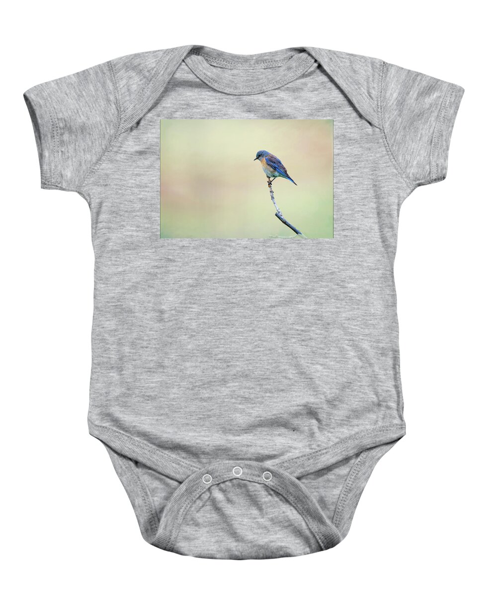 Spring Baby Onesie featuring the photograph Spring Bluebird by Steph Gabler