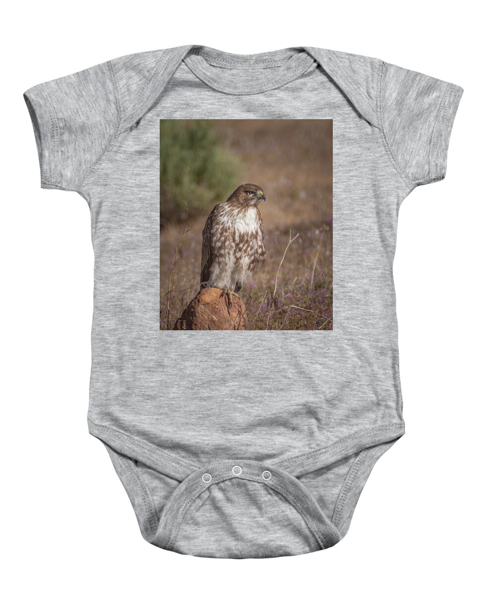 Red Tailed Hawk Baby Onesie featuring the photograph Spring Red Tailed Hawk 2 by Rick Mosher