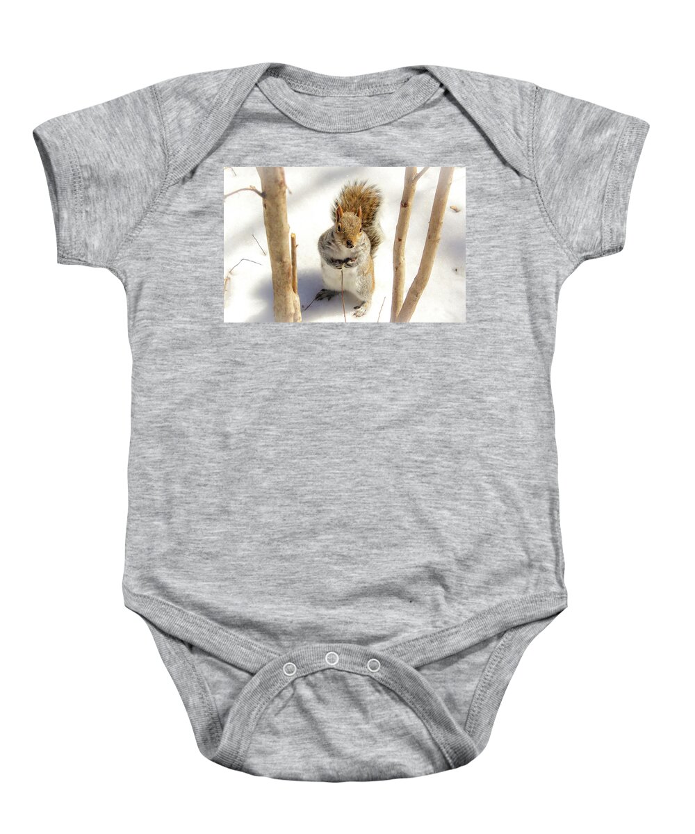 Squirrel Baby Onesie featuring the photograph Squirrel in Snow by Alison Frank