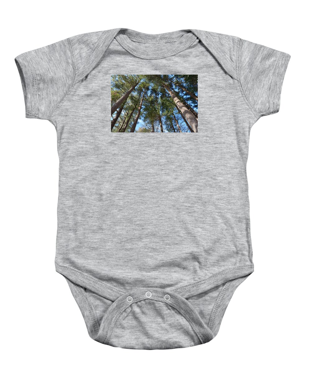 Trees Baby Onesie featuring the photograph Squirrels Highway by Dani McEvoy