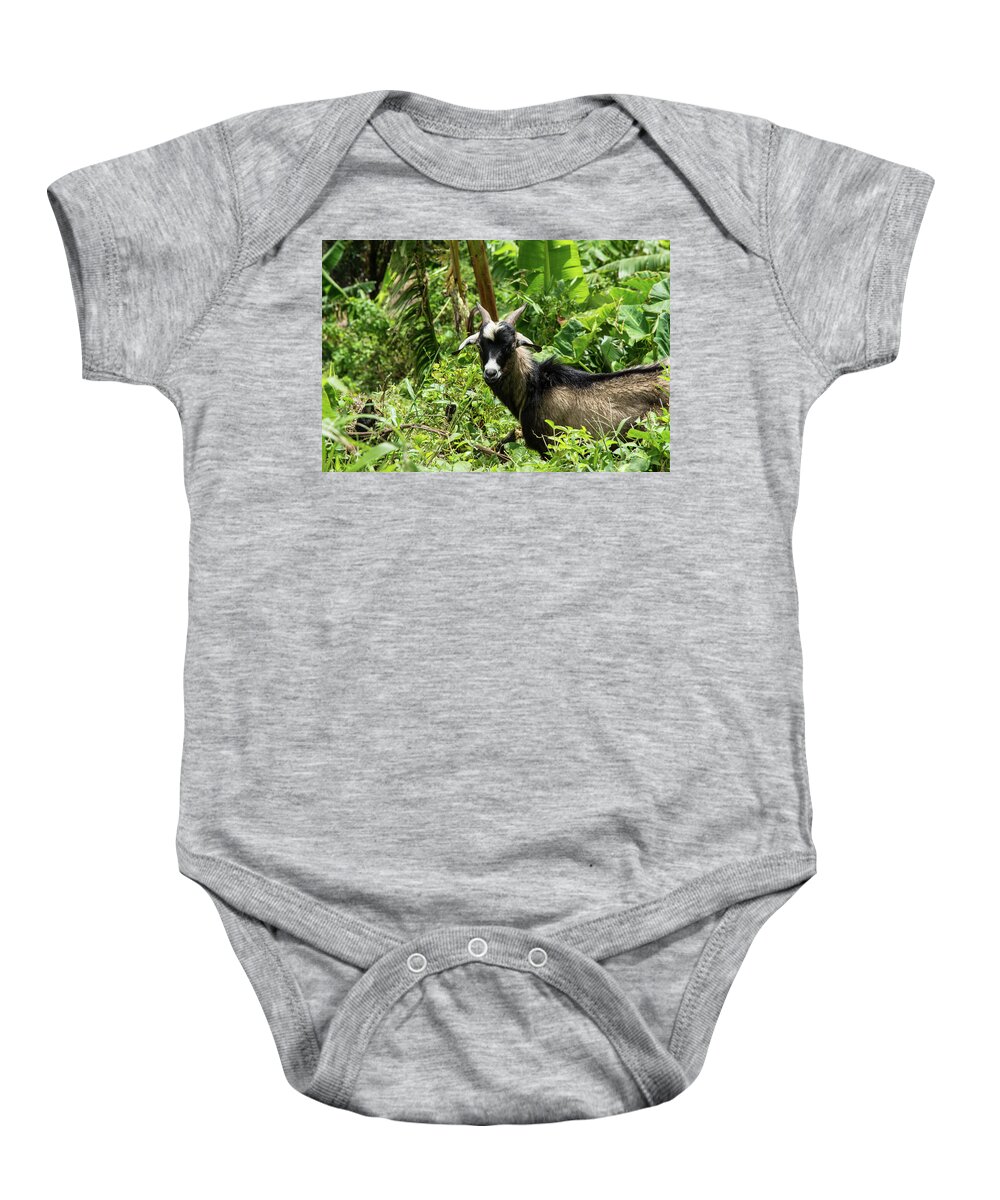 Goat Baby Onesie featuring the photograph St Lucia Goat by Nicole Freedman