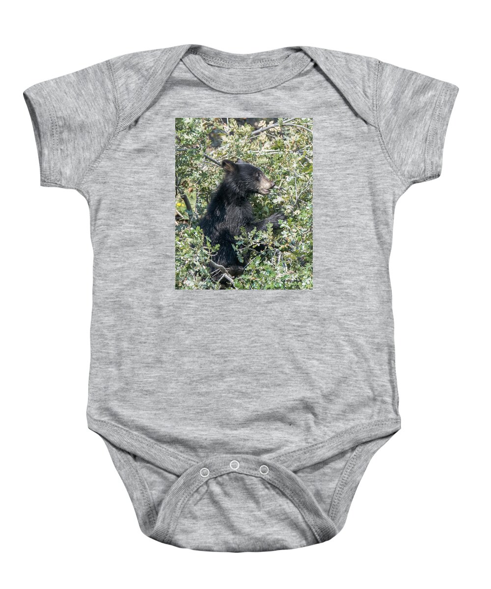 Black Bear Baby Onesie featuring the photograph Startled Black Bear Cub by Stephen Johnson
