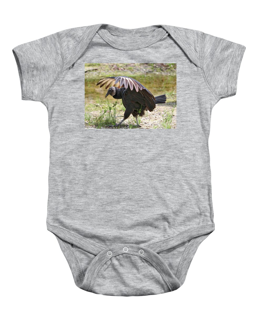 Vulture Baby Onesie featuring the photograph Strutting Black Vulture by Carol Groenen