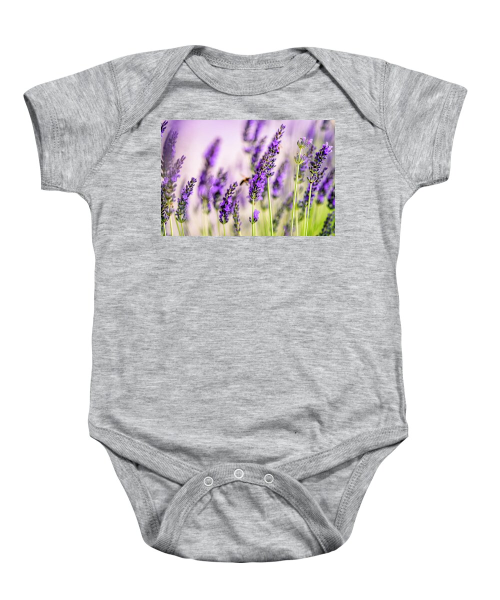 Lavender Baby Onesie featuring the photograph Summer Lavender by Nailia Schwarz