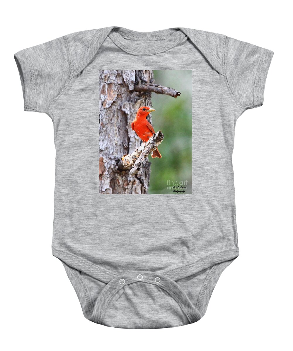Summer Tanager Baby Onesie featuring the photograph Summer Tanager by Barbara Bowen