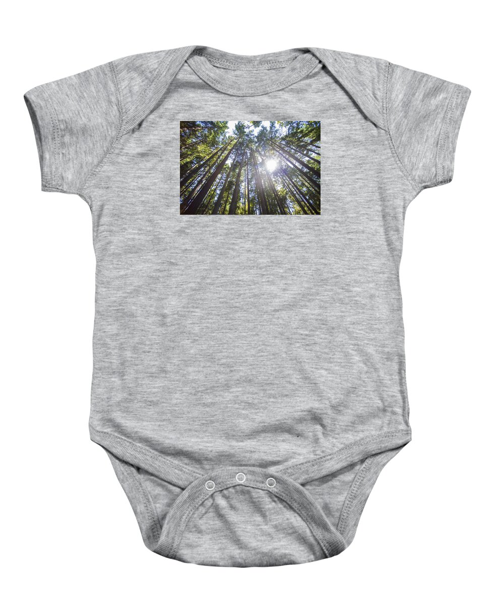 Trees Baby Onesie featuring the photograph Sun Shining Through the PNW Trees by Matt McDonald