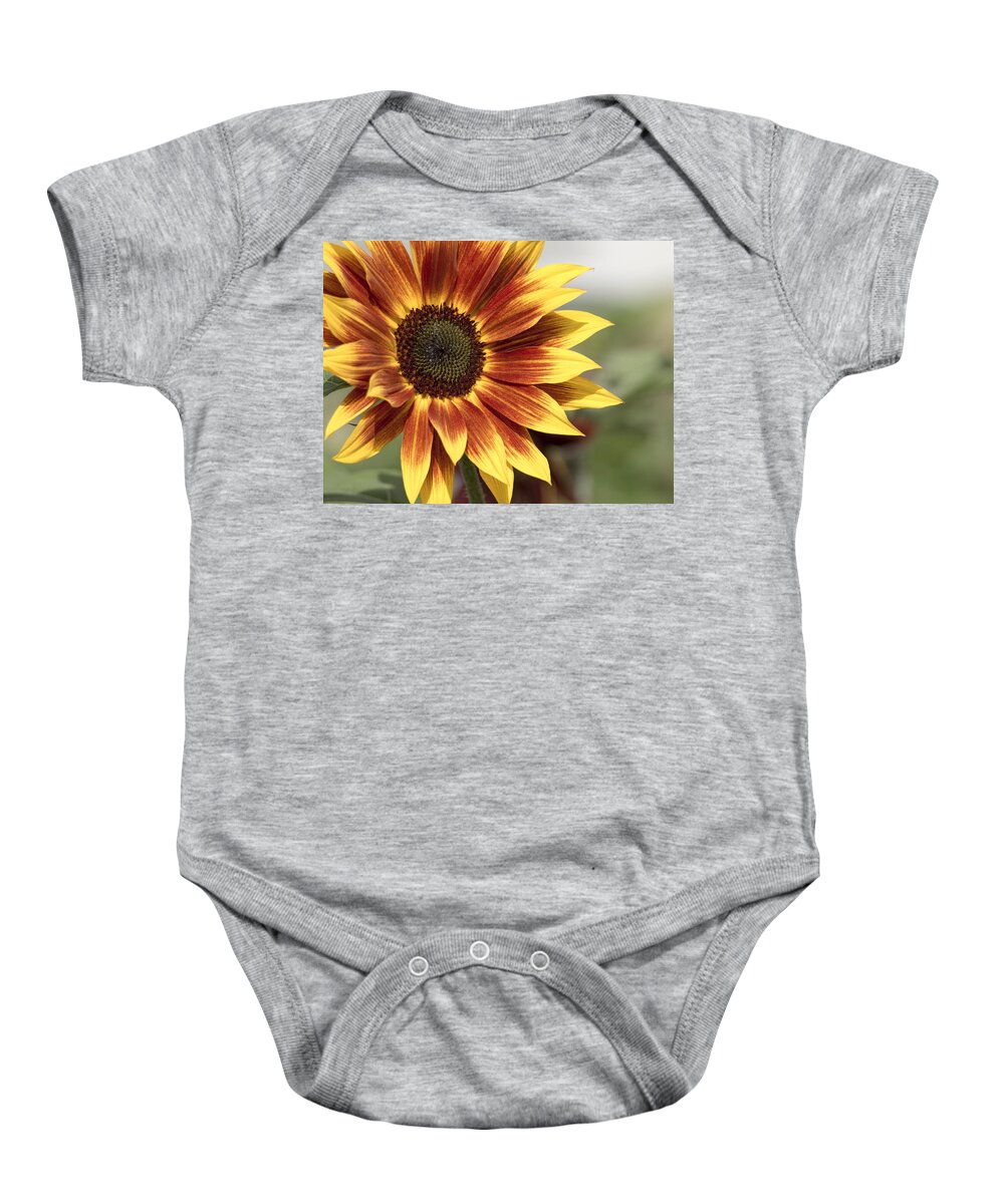 Sunflower Baby Onesie featuring the photograph Sunflower by Ed Clark