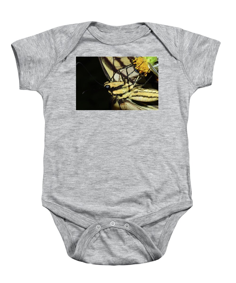 Photograph Baby Onesie featuring the photograph Swallowtail Butterfly by Larah McElroy