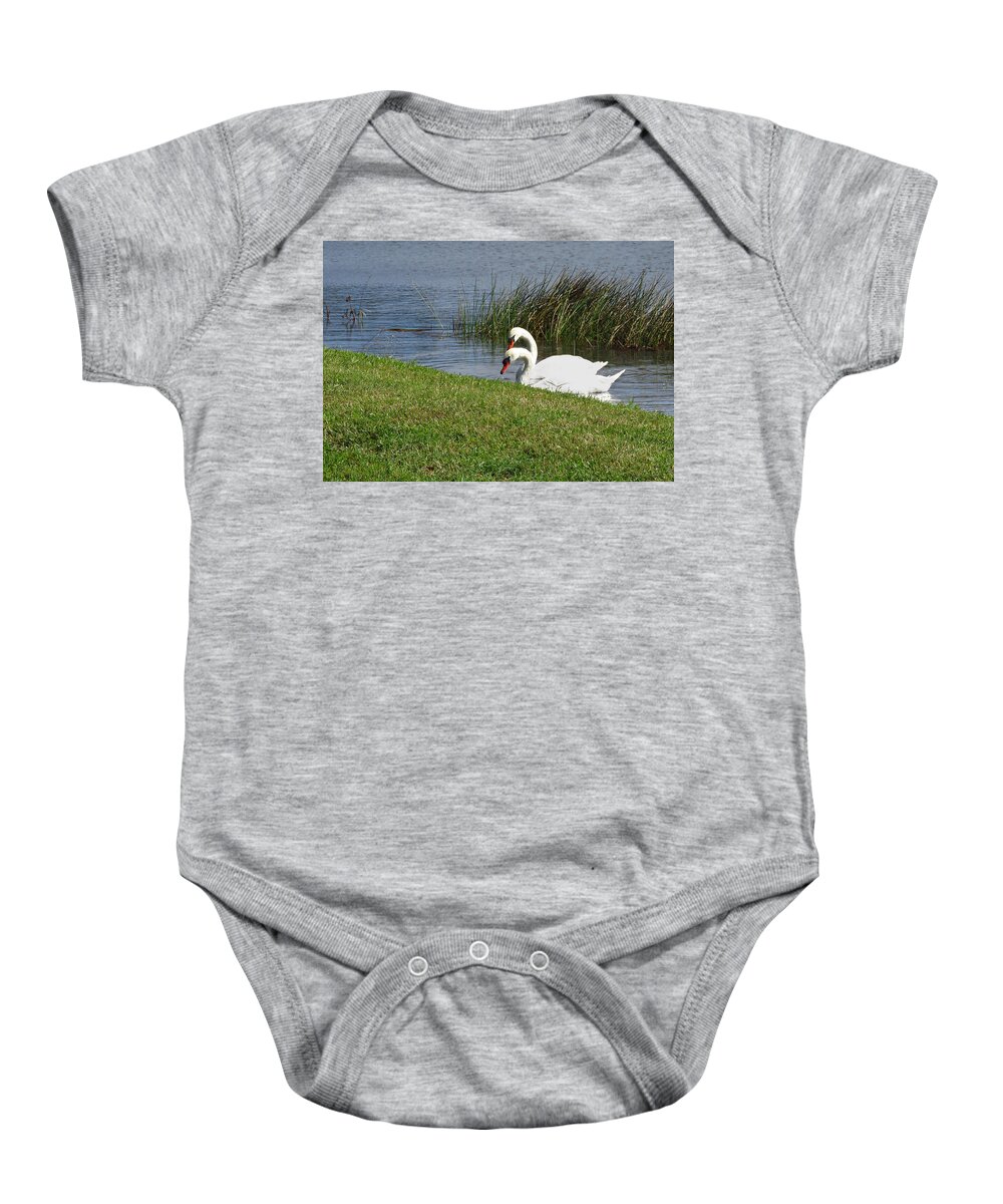Swan Baby Onesie featuring the photograph Swan Pair as Photographed by Rosalie Scanlon