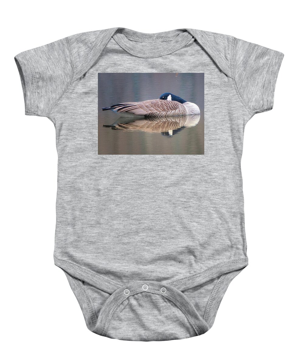 Birds Wildlife Animals Baby Onesie featuring the photograph Taking a Nap by Paul Ross