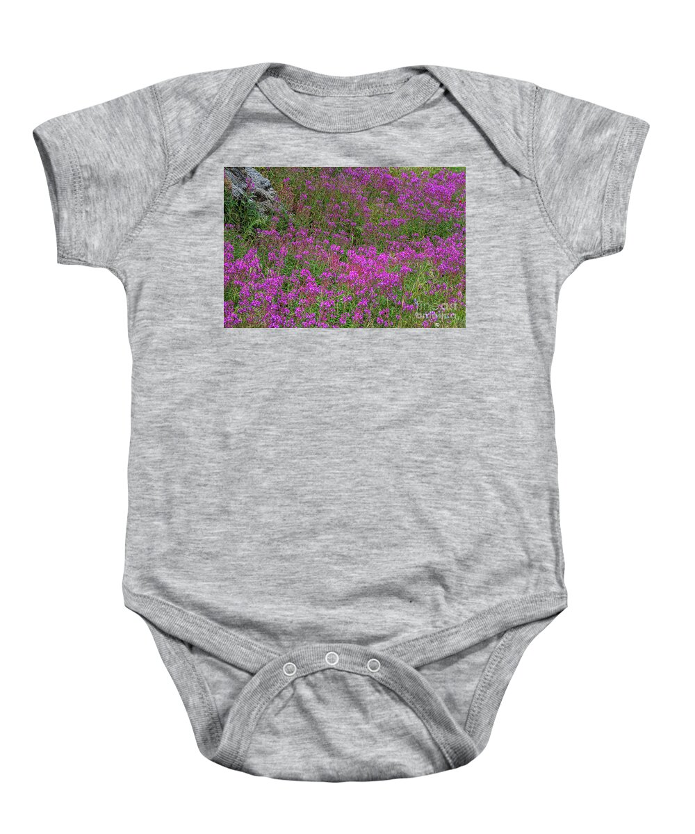 Fireweed Baby Onesie featuring the photograph Technicolor Dreams by Jim Garrison