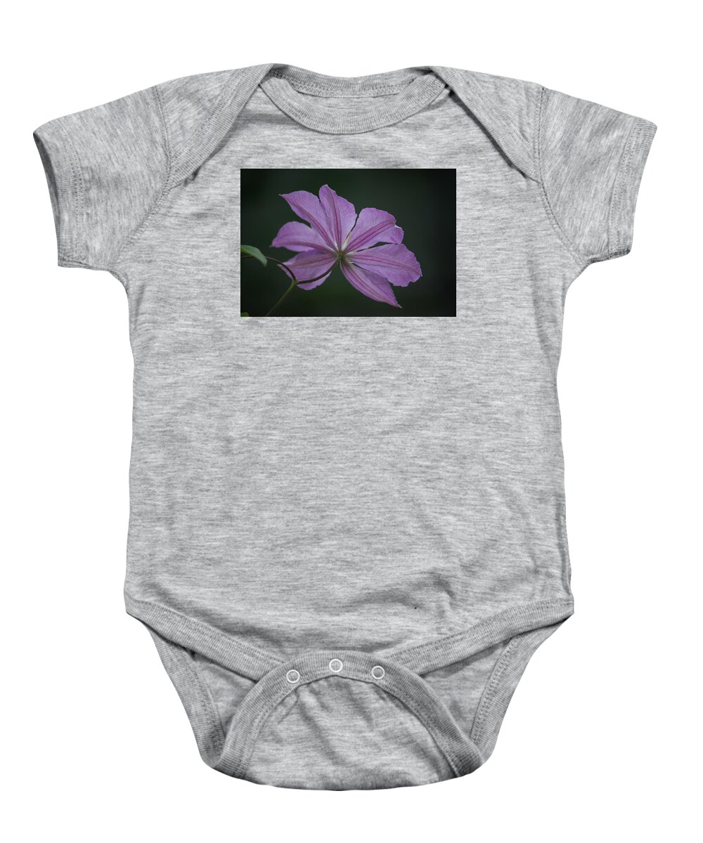 Photograph Baby Onesie featuring the photograph Teresas Clematis by Suzanne Gaff