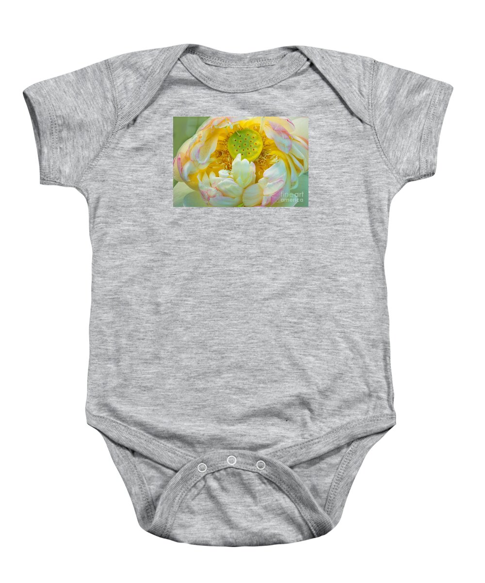 Lotus Baby Onesie featuring the photograph The Choosing by Marilyn Cornwell