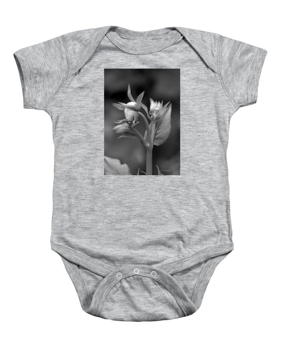 The Finer Things In Life Baby Onesie featuring the photograph The Finer Things In Life by Jeanette C Landstrom