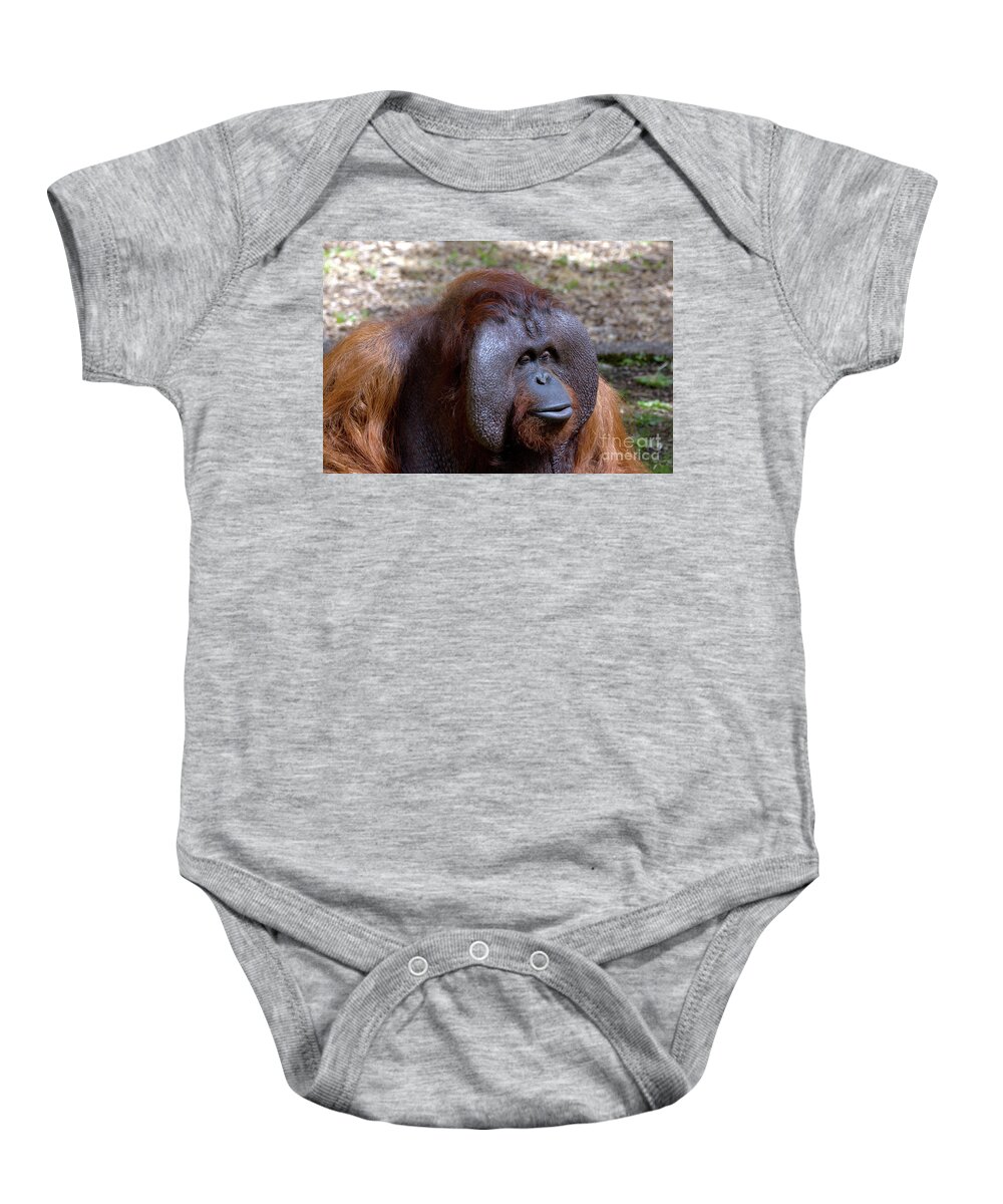 Animal.ape Baby Onesie featuring the photograph The Jungle V.I.P. by Baggieoldboy