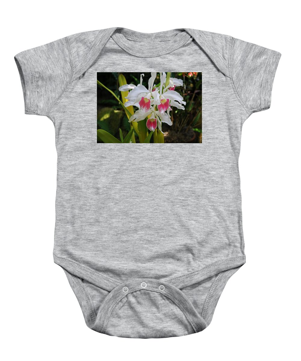 Orchid Baby Onesie featuring the photograph The Momentum Begins by Michiale Schneider