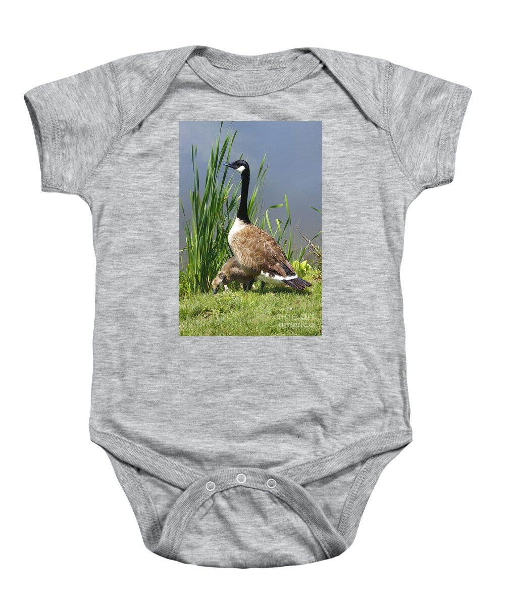 Goose Baby Onesie featuring the photograph The Protector by Deborah Benoit