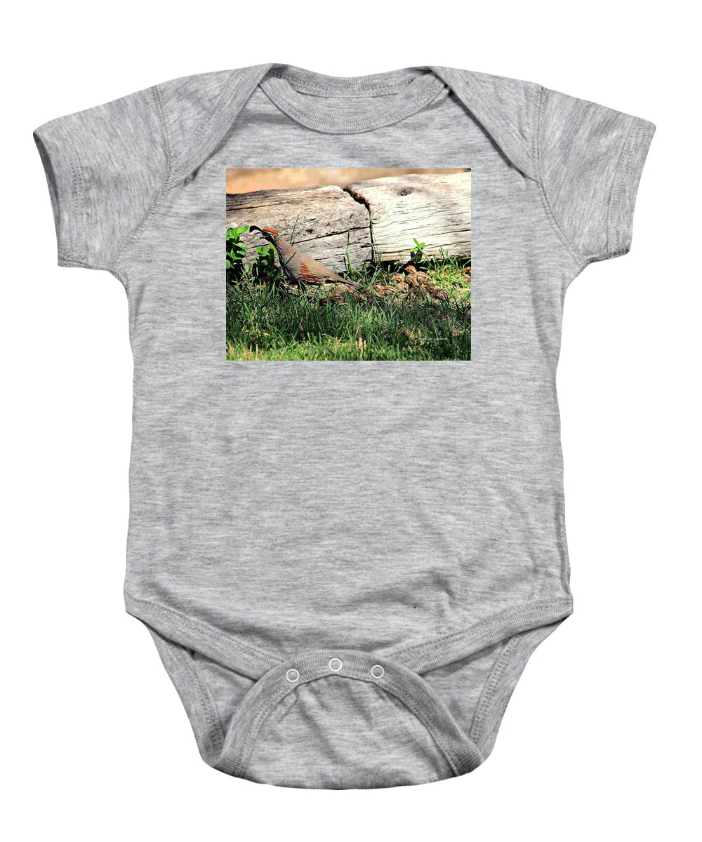 Quail Baby Onesie featuring the photograph The Quail Family by Matalyn Gardner