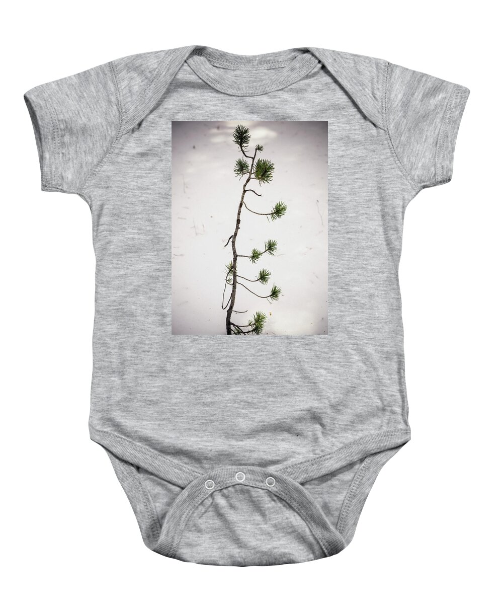 Forest Baby Onesie featuring the photograph The Start Of A Forest Giant by James BO Insogna
