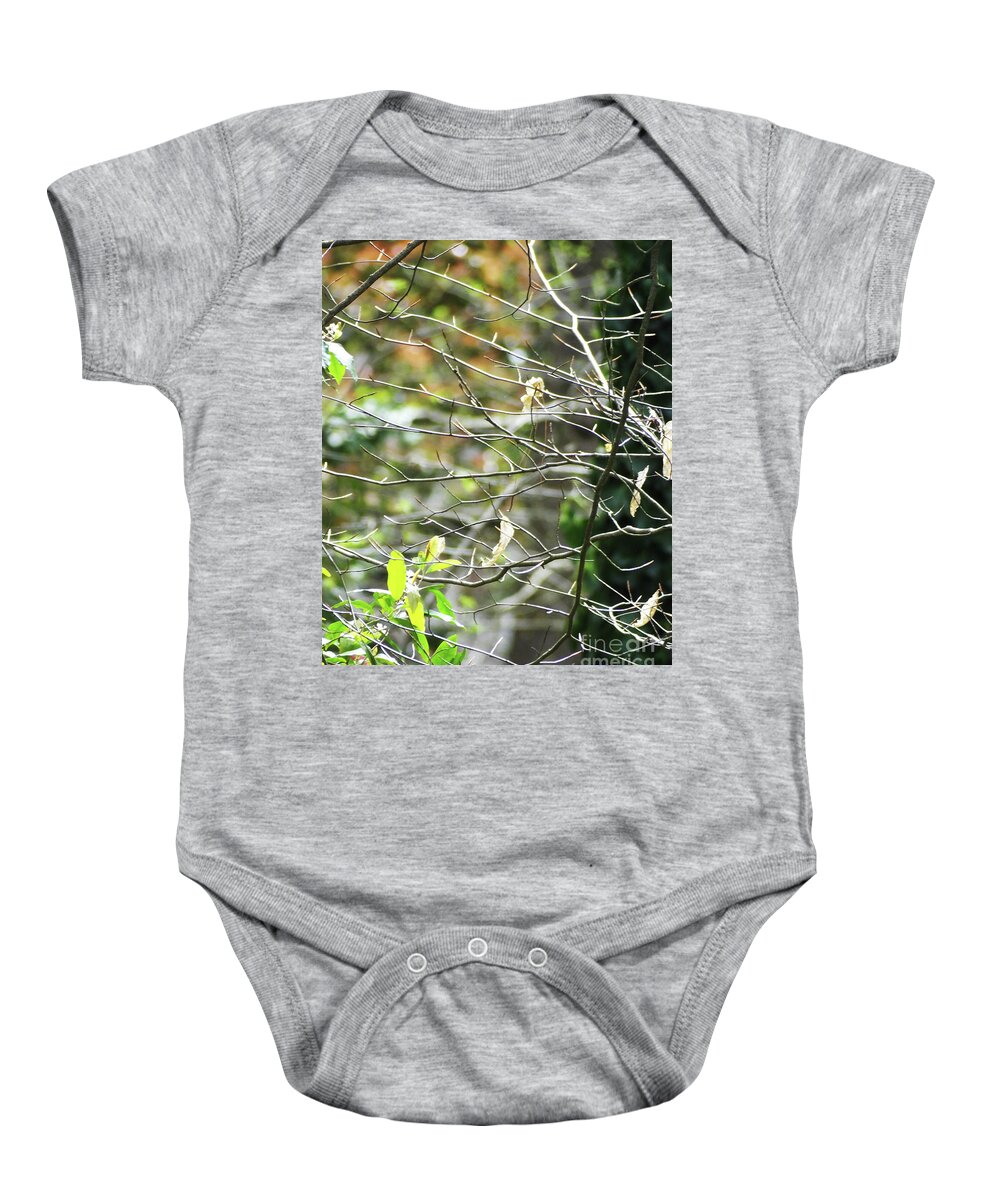 Nature Baby Onesie featuring the photograph Tree 32 Whitby Yard by Lizi Beard-Ward