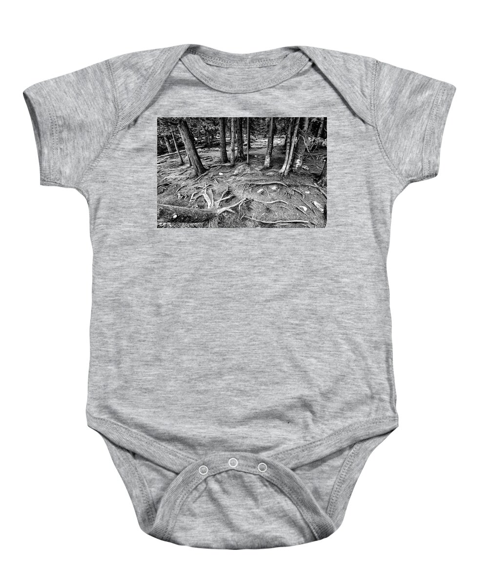 Landscape Baby Onesie featuring the photograph Tree Roots Bear lake,co by James Steele