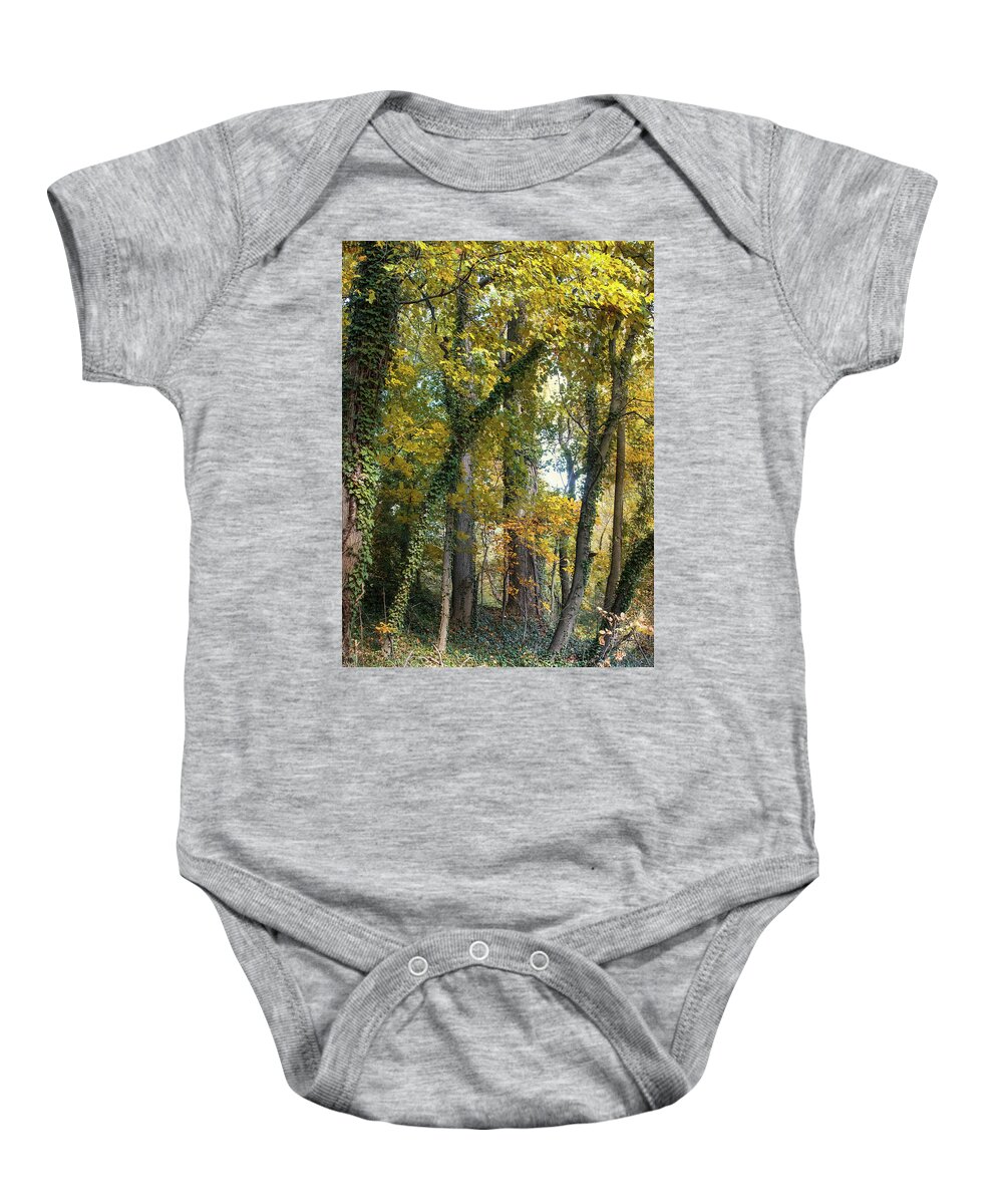 Trees Baby Onesie featuring the photograph Trees are Life by John Rivera